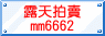 Sѩ